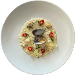 Risotto vongole e bufala